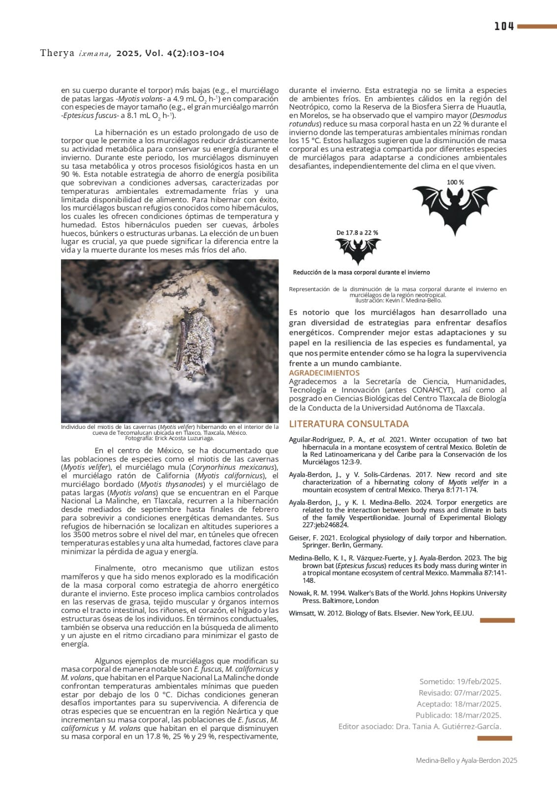 Publican investigadores de la UATx artículo de divulgación sobre los mecanismos de supervivencia del murciélago